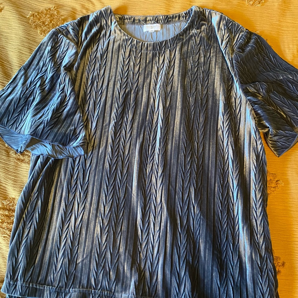 Silver Velvet Top